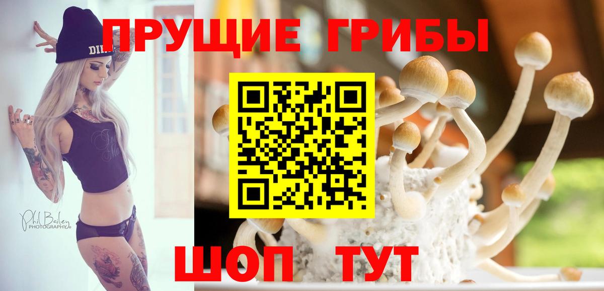 как найти закладки  Вход с VPN  Россия  Галлюциногенные грибы GOLDEN TEACHER  Галлюциногенные грибы Psilocybe 